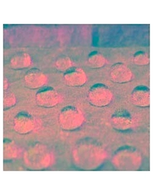 Transparent Waterproof Coating
