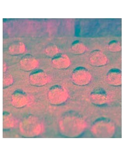 Transparent Waterproof Coating-1022
