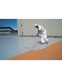 Elastomeric Coatings
