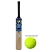 Cricket Bat Kashmiri Willow Black Panther Series SH