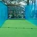 Cricket Net