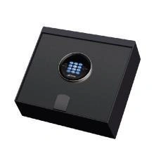 Ozone - Home &amp; Office Safes - O-LAPTOP-2