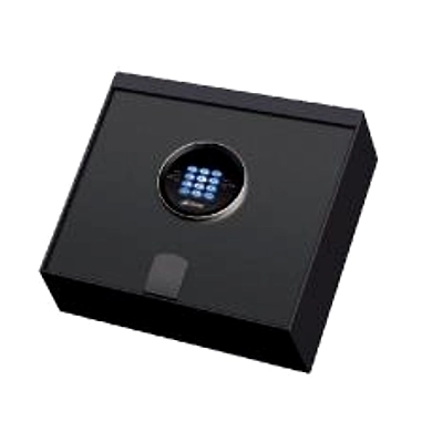 Ozone - Home &amp; Office Safes - O-LAPTOP-2