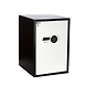 Ozone - Home &amp; Office Safes - OES-HG-77-500956-sm