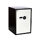 Ozone - Home &amp; Office Safes - OES-HG-77-2-sm
