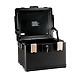 Ozone - Home &amp; Office Safes - OES-FPC 17L Black-2-sm