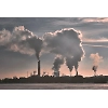 Essay On Pollution: A Global Crisis in Need of Immediate Attention