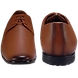 Fashion Line 102 Tan-Tan-7-1-sm