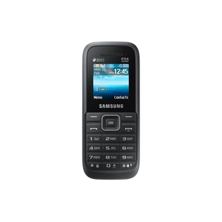 Samsung Guru FM Plus