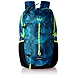 Wildcraft Polyester Blu_Foliag Rucksack (Daypack 25 : Wildcraft : Blu_Foliag)-Wildcraft_Blu_Foliag-sm