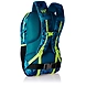 Wildcraft Polyester Blu_Foliag Rucksack (Daypack 25 : Wildcraft : Blu_Foliag)-Blue-1-sm