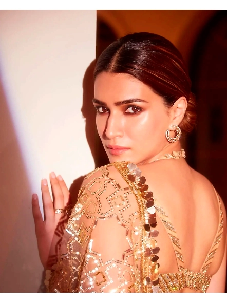 Kriti Sanon Gold Net Sequenced Worked Saree-2
