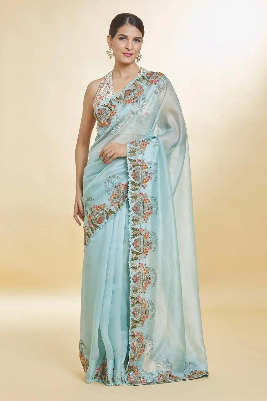 Blue Organza Hand Embroidered Sequin Resham Bordered Saree-BT1230