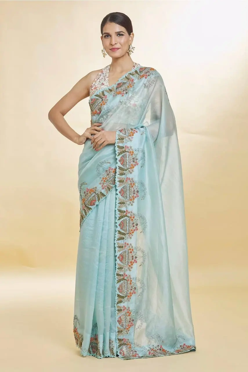 Blue Organza Hand Embroidered Sequin Resham Bordered Saree-1