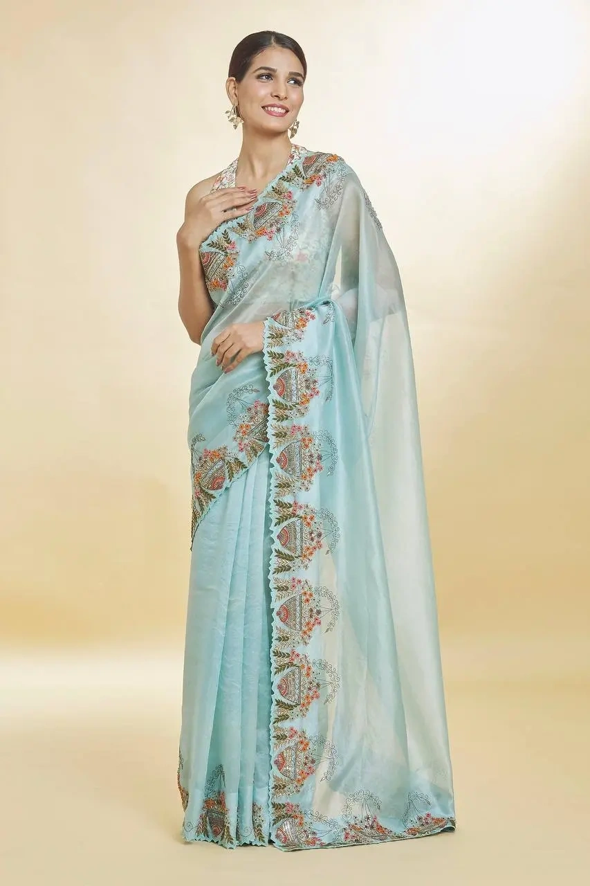 Blue Organza Hand Embroidered Sequin Resham Bordered Saree-2