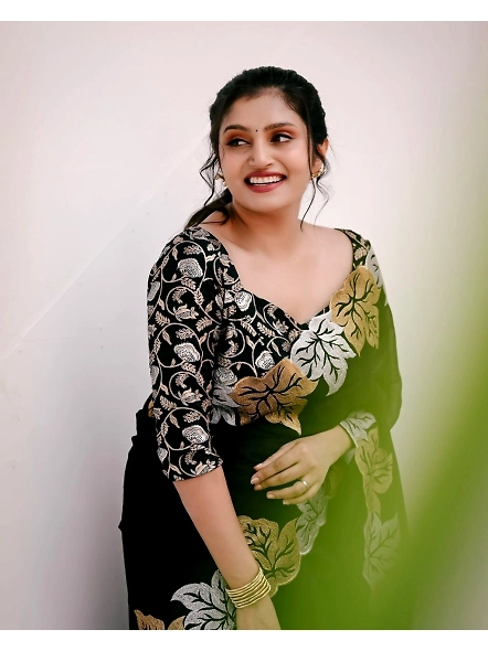 Luxurious Black Embroidered Satin Chiffon Silk Saree with Stunning Embroidery-Black-3