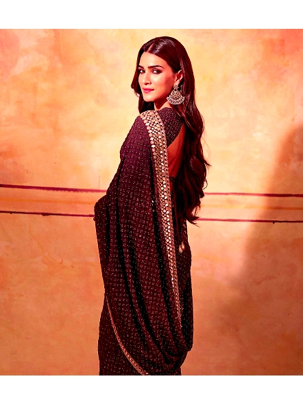 A woman in a maroon saree by Kriti Sanon, featuring Brown Georgette fabric, exemplifying traditional