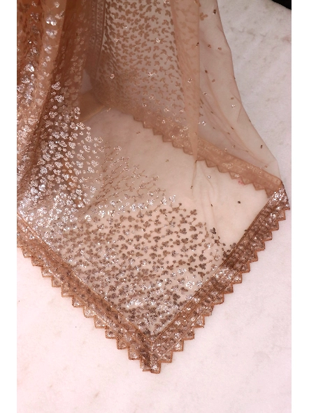 Exquisite Brown Net Saree-Brown-5