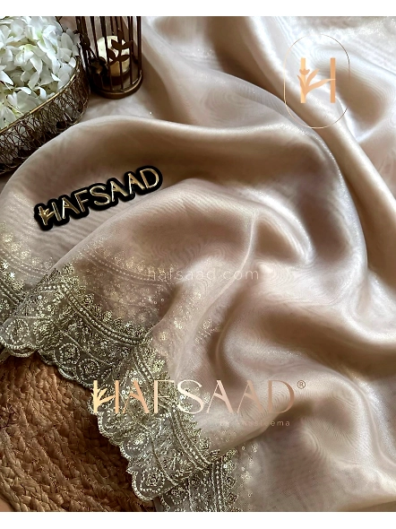 Gold Tissue Organza Saree for Special Occasions-SN-409