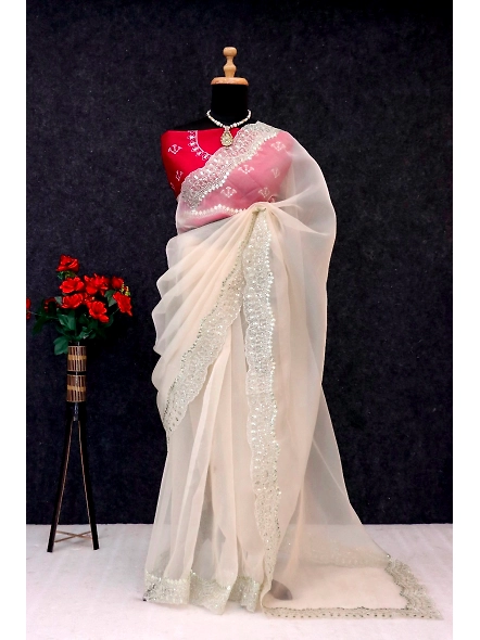 Gold Tissue Organza Saree for Special Occasions-Gold-4