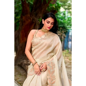 Beige Tissue Floral Applique Saree with Embroidered Border