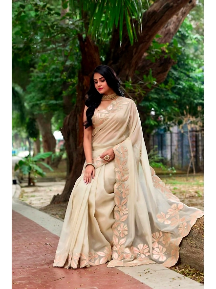 embroidered border saree