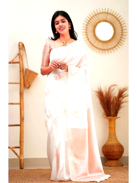 Banarasi soft silk saree