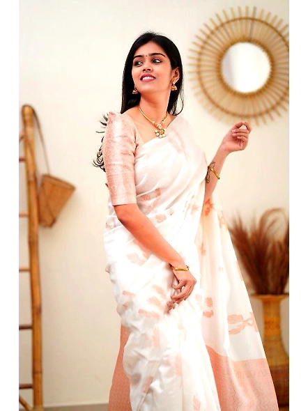 Banarasi saree with blouse piece