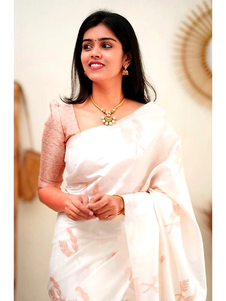 Traditional Indian silk saree
