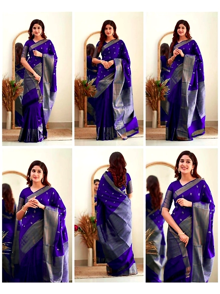 Blue Zari border saree