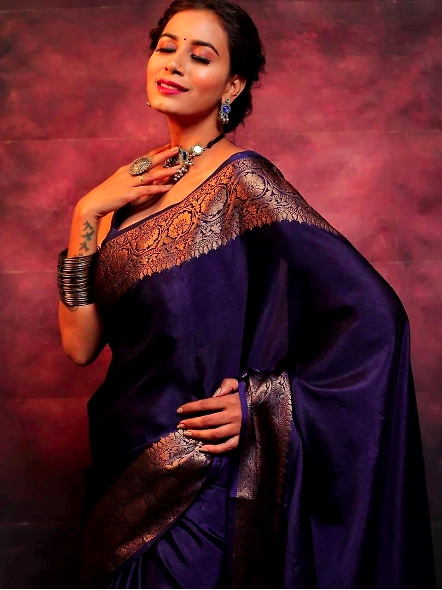 NavyBlue Zari contrast border saree
