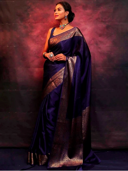 NavyBlue Elegant ethnic saree