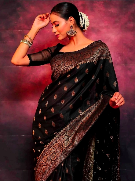 Black Elegant ethnic saree