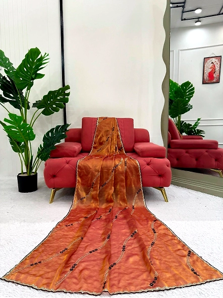 Fendy Silk Thread With Sequence Work Saree-Brown-4