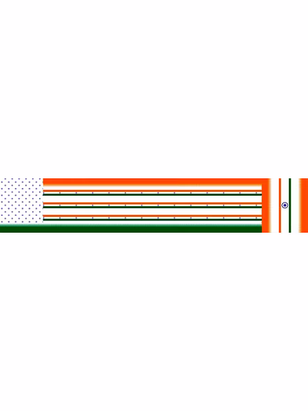 tiranga saree