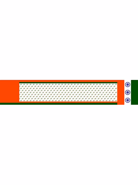 tiranga saree