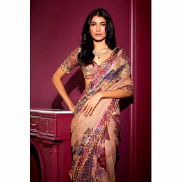 binal tex georgette saree with mirror work