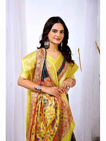 Dola Silk fabric saree