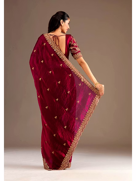 fendi chiffon saree