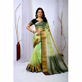 chitra tex organza saree with embroidery