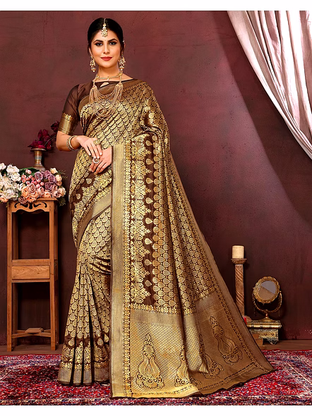 Brown party wear saree