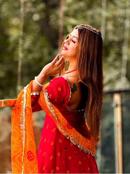 red top in georgette