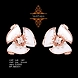 EARRING (ERAB0011)-ERAB0011-sm