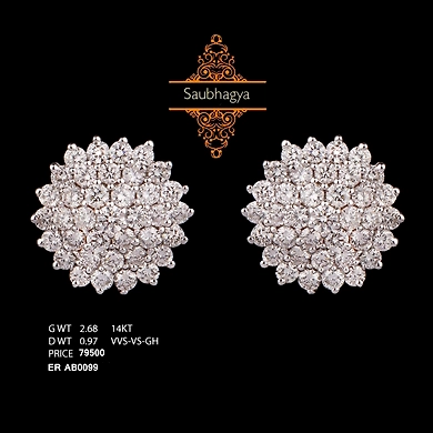 EARRING (ERAB0099)-ERAB0099