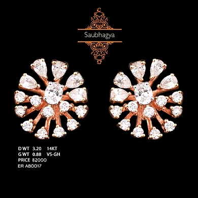EARRING (ERAB0017)-ERAB0017
