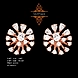 EARRING (ERAB0017)-ERAB0017-sm