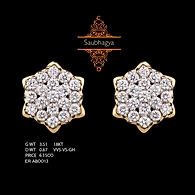 EARRING (ERAB0013)