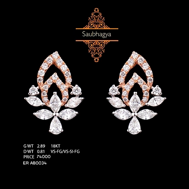 EARRING (ERAB0034)-ERAB0034