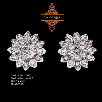 EARRING (ERAB0030)-ERAB0030