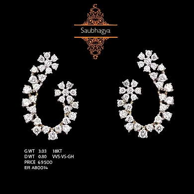 EARRING (ERAB0014)-ERAB0014